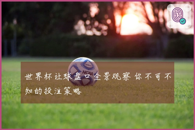 世界杯让球盘口全景观察 你不可不知的投注策略