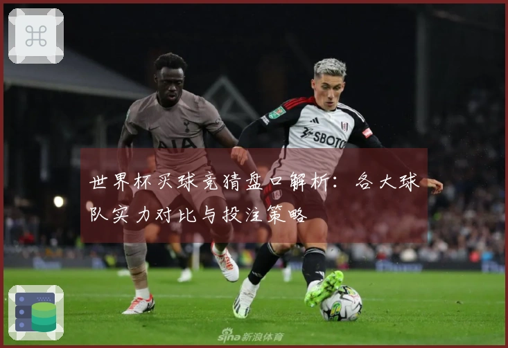 世界杯买球竞猜盘口解析：各大球队实力对比与投注策略