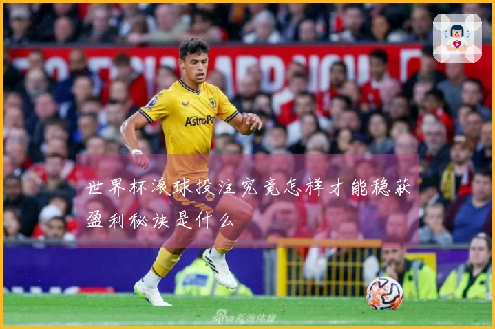 世界杯滚球投注究竟怎样才能稳获盈利秘诀是什么