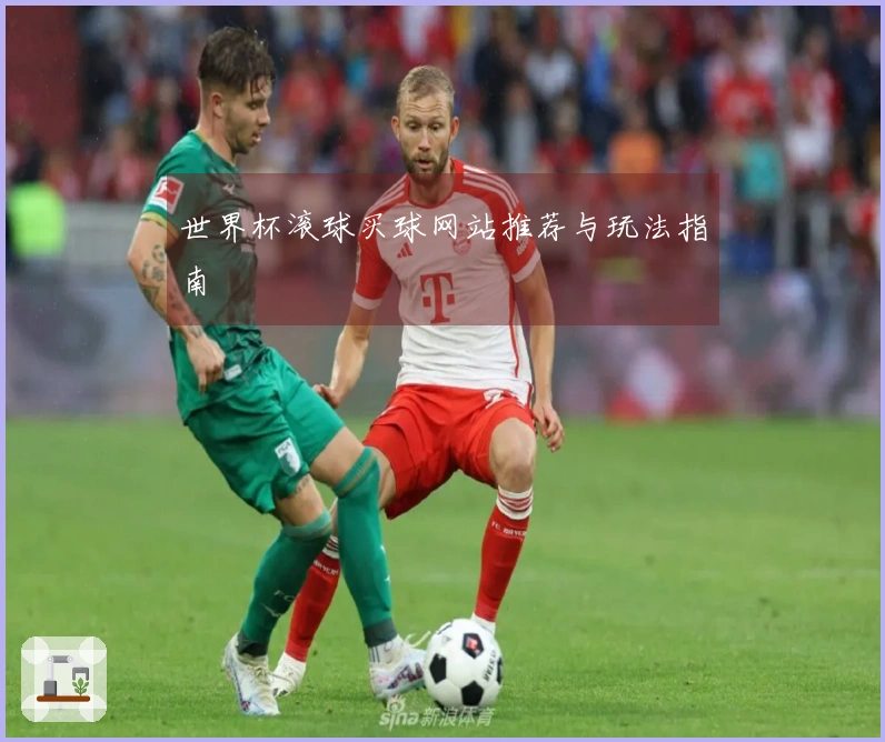 世界杯滚球买球网站推荐与玩法指南