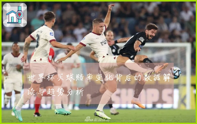 世界杯买球赔率变化背后的数据解读与趋势分析
