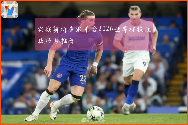 实战解析多家平台2026世界杯投注技巧与推荐