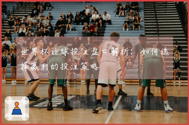 世界杯让球投注盘口解析：如何选择赢利的投注策略
