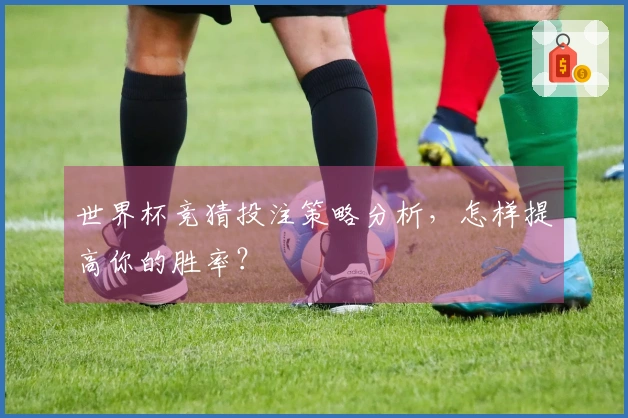 世界杯竞猜投注策略分析，怎样提高你的胜率？
