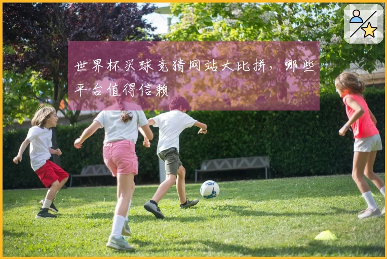 世界杯买球竞猜网站大比拼，哪些平台值得信赖