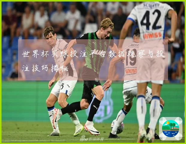 世界杯买球投注平台数据观察与投注技巧揭秘
