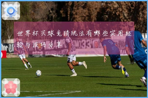 世界杯买球竞猜玩法有哪些实用经验与技巧分享