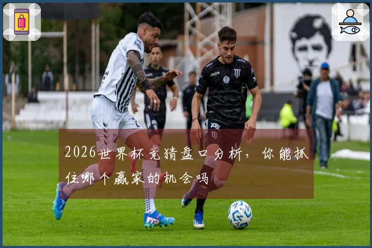 2026世界杯竞猜盘口分析，你能抓住哪个赢家的机会吗
