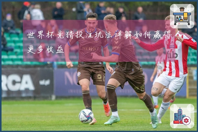 世界杯竞猜投注玩法详解如何赢得更多收益