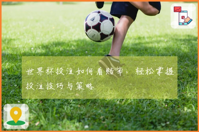 世界杯投注如何看赔率，轻松掌握投注技巧与策略