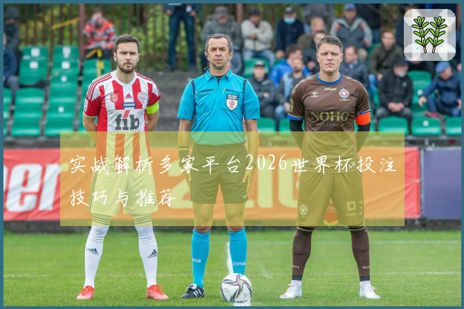 实战解析多家平台2026世界杯投注技巧与推荐
