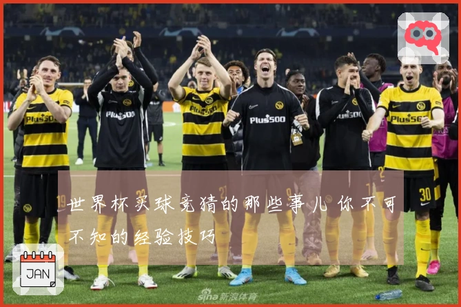 世界杯买球竞猜的那些事儿 你不可不知的经验技巧