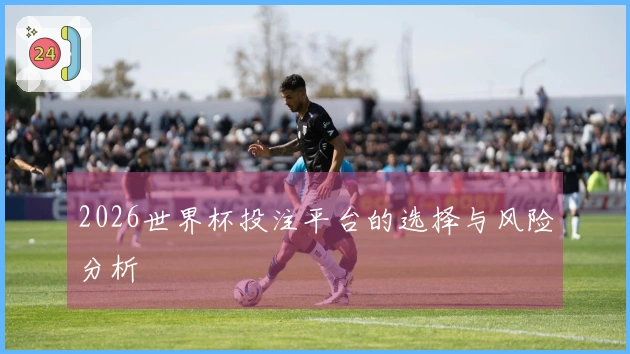 2026世界杯投注平台的选择与风险分析